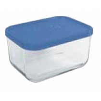 Igloo Rett Blue Storage Box